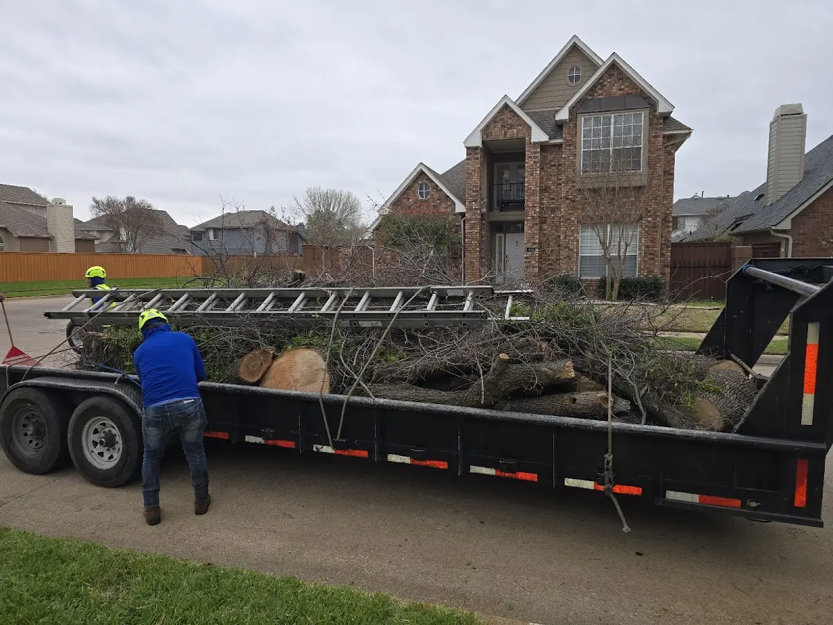 Expert Tree Fertilization with proper safety equipment in Zwingle